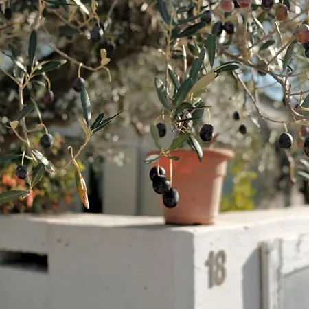 Casa Oliva - Welchome Casa vacanze Rocca San Giovanni