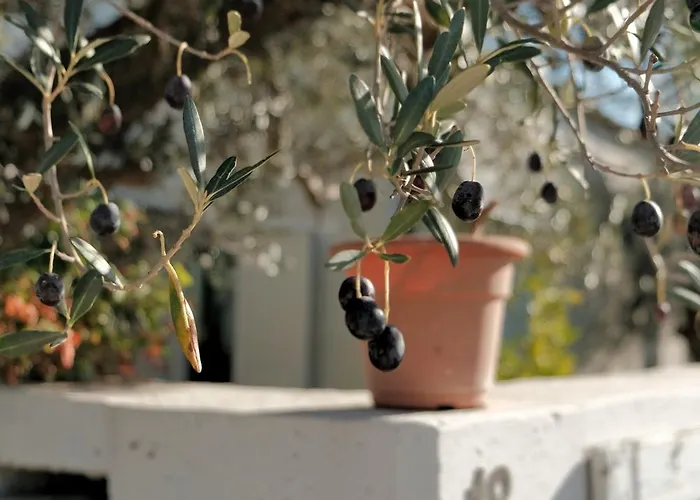 Casa Oliva - Welchome 別荘 ロッカ・サン・ジョヴァンニ